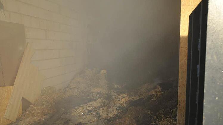 Foto: Roland Meister