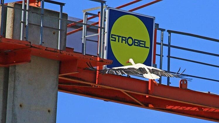 Auf dem großen Kran der Firma Strobel ist ja noch ein Platz frei. Da weht immer ein frisches Lüftchen. Die nächste Wache in der Nähe vom Horst wird sicher er übernehmen. Dann kann die Storchenmama erst mal für sich selbst sorgen. Foto: Hans-Peter Schönecker