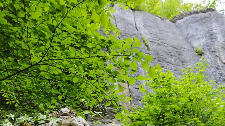 Ein Denkmal bei der Muschelquelle in Streitberg erinnert an Kurt Albert. Foto: Barbara Herbst