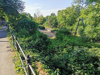 Wird hier in Bamberg aktuell mehr geklaut? - Leserin berichtet von Erlebnis