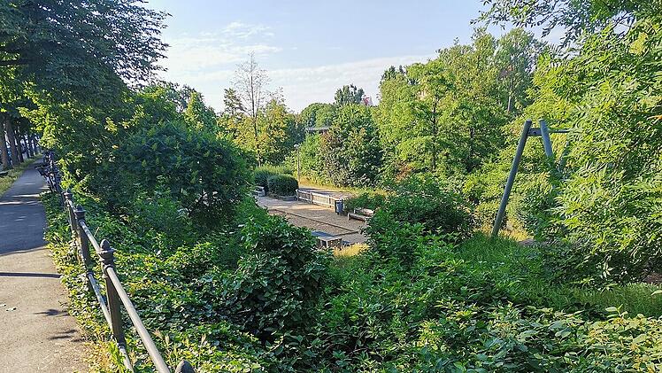 Wird hier in Bamberg aktuell mehr geklaut? - Leserin berichtet von Erlebnis