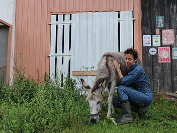 Vegan, Lebenshof, Tiere, Hof, Veganer Hof, Rettung, Tierschutz, Aktivismus, Politik, Rettung, Not, Tiernot, Nachhaltig, Umwelt, Umweltschutz