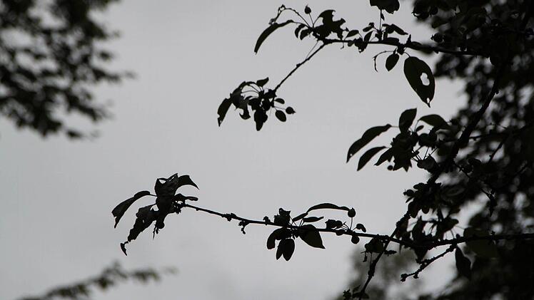Impressionen vom meditativen Spaziergang Foto: Ulrike Müller