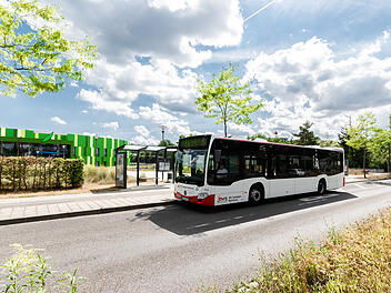 Bamberg: Stadtwerke Bamberg kündigen neuen Busfahrplan an - In den Sommerferien jede fünfte Fahrt gestrichen