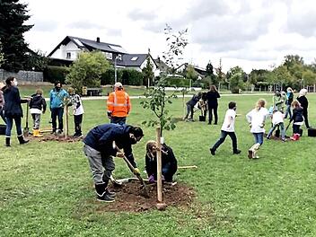 Lehrerinnen und Schüler pflanzten die Bäume gemeinsam ein.