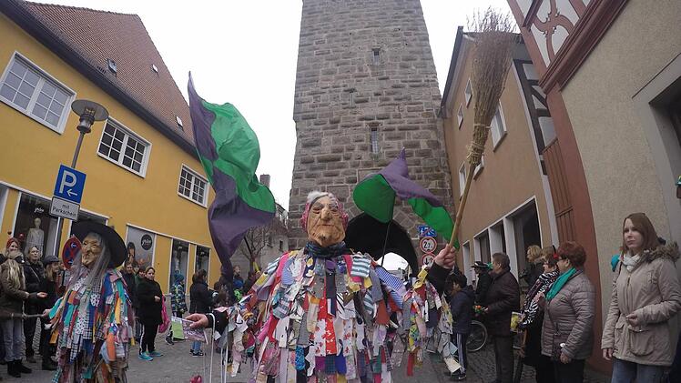 Der Faschingsumzug in Höchstadt war auch 2017 wieder sehr gut besucht. Foto: Christian Bauriedel