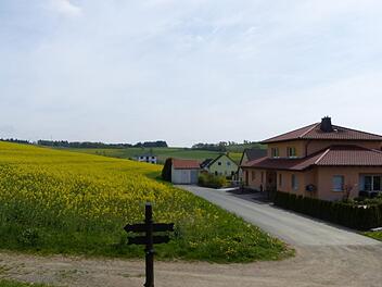 Wo jetzt noch das Rapsfeld blüht, sollen die ersten fünf Bauparzellen mit einer Gesamtfläche von 4500 Quadratmeter im Kupferberger Neubaugebiet "Schieferberg III" erschlossen werden. Foto: Wulf