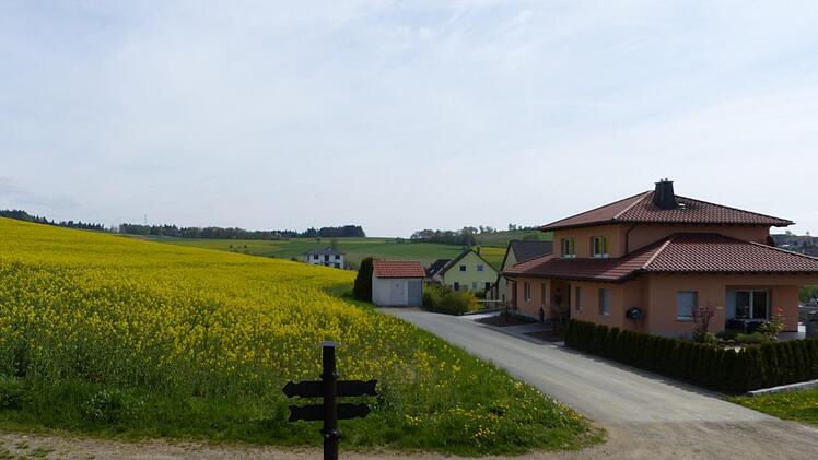 Wo jetzt noch das Rapsfeld blüht, sollen die ersten fünf Bauparzellen mit einer Gesamtfläche von 4500 Quadratmeter im Kupferberger Neubaugebiet "Schieferberg III" erschlossen werden. Foto: Wulf