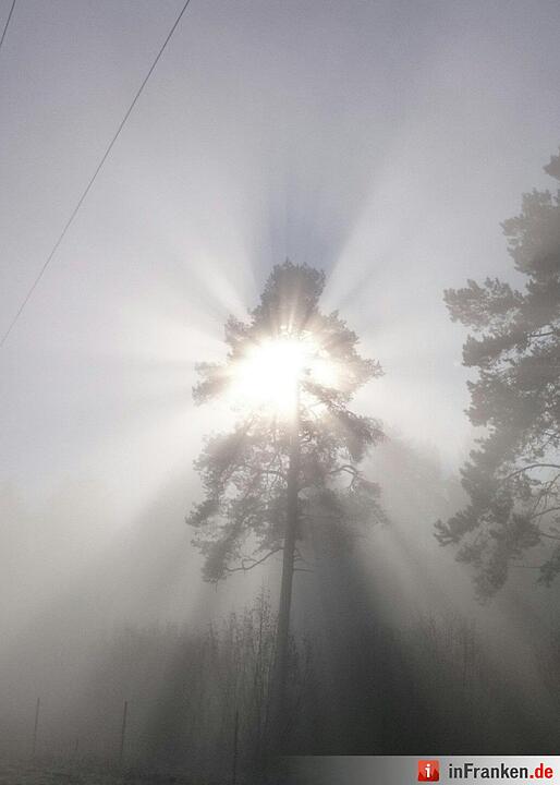 Nebel über Franken