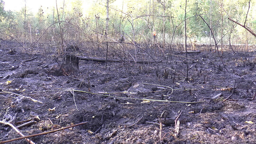 Waldbrand im Kreis Haßberge: Feuerwehr kämpft mit Großaufgebot gegen die Flammen