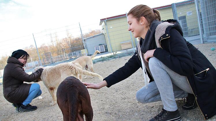 Das Tierheim Haßberge bei Zell Foto: Teresa Hirschberg