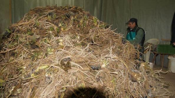 Foto: Heike Reinersmann