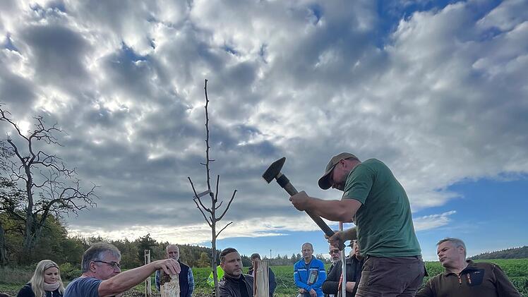 Ahorn: "Naturschutz-Hot-Spot&ldquo; angelegt - Streuobstwiese bietet biologische Vielfalt
