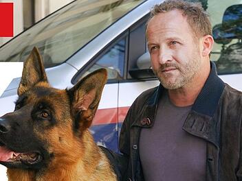 "Kommissar Rex" kehrt mit Maximilian Br&uuml;ckner als neuem Hauptdarsteller zur&uuml;ck.