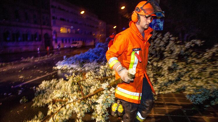 Foto: News5 / Grundmann