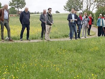 Mitten im Kurpark hat die Stadt Bad Rodach eine 2500 Quadratmeter große Blühwiese angelegt und so einen Beitrag zur Artenvielfalt geleistet. Bürger können das Projekt durch Übernahme von Patenschaften unterstützen. Foto: Martin Rebhan