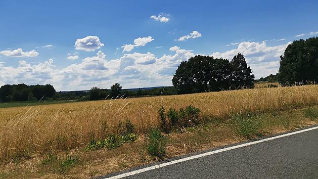 Wetter in Franken: Zun&auml;chst sonnig und hei&szlig; - doch folgen dann Regen und Gewitter?