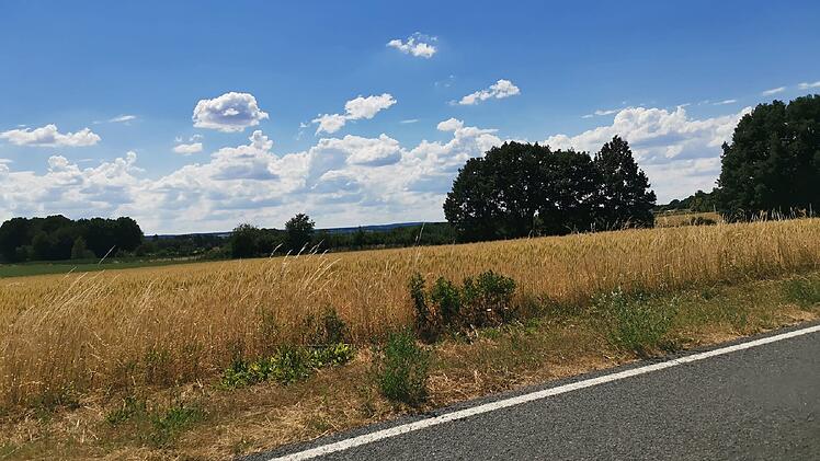Wetter in Franken: Zunächst sonnig und heiß - doch folgen dann Regen und Gewitter?