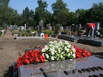Reihen lichten sich. Immer mehr Gräber werden aufgelassen. Nach Auskunft der Friedhofsverwaltung hat dies aber nichts mit der Erhöhung der Bestattungsgebühren zu tun, sondern vielmehr damit, dass die Grabpflege für immer mehr Angehörige zu aufwändig wird. Foto: Archiv Andreas Oswald