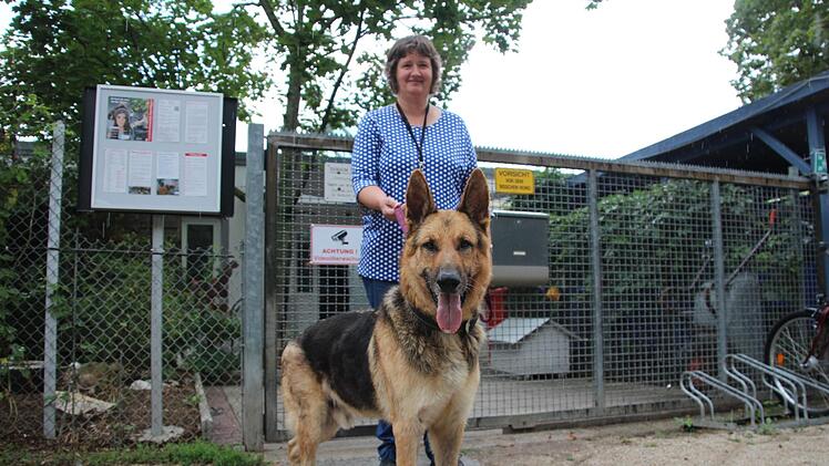 Birgit Schmitt führt ehrenamtlich Hunde aus. Rudel