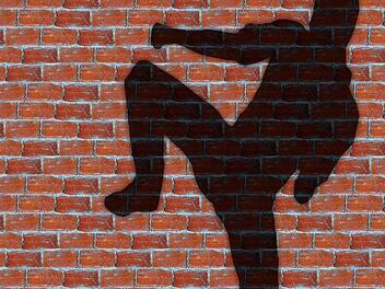 Mit mehreren Fu&szlig;tritten ist ein 30-J&auml;hriger in ein Mietshaus und eine Wohnung in Kronach eingedrungen. Symbolfoto: geralt/Pixabay