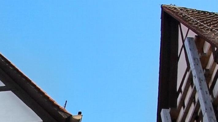 Bis 2022 soll das Forchheimer Rathaus saniert sein. Doch bislang verläuft die politische Auseinandersetzung um die Sanierung wenig konstruktiv. Foto: Ekkehard Roepert
