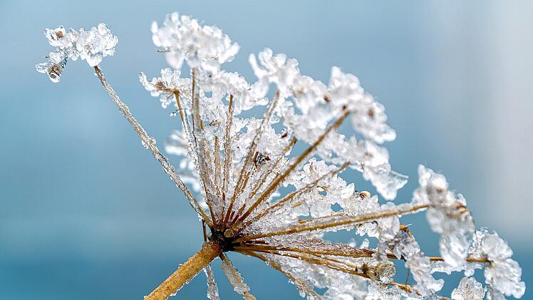 So frostig wird die Woche in Franken: Fällt sogar der erste Schnee?