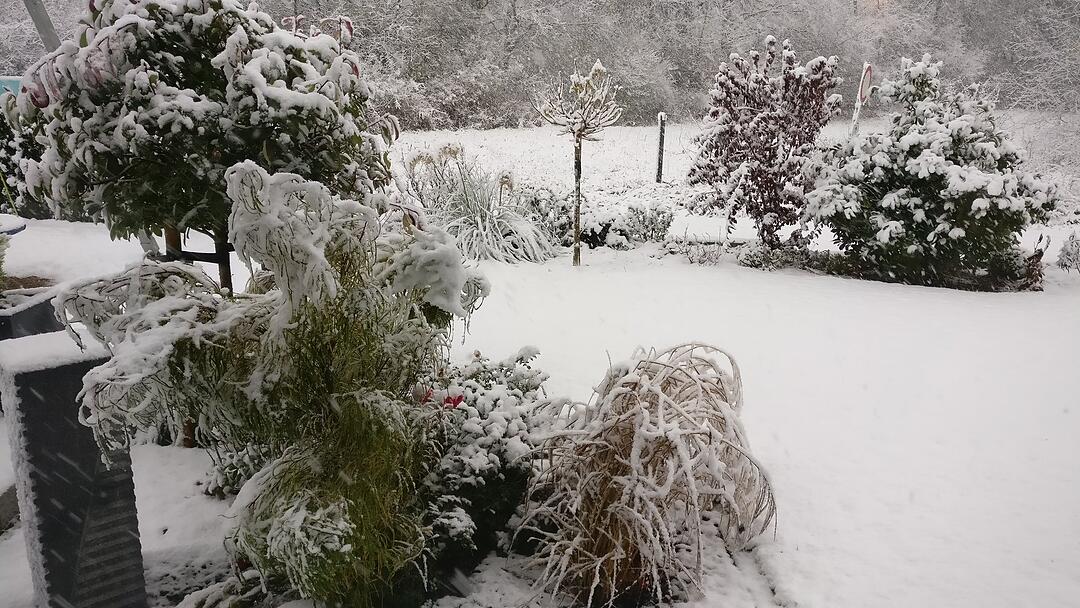 Leserbilder: Der erste Schnee in Franken