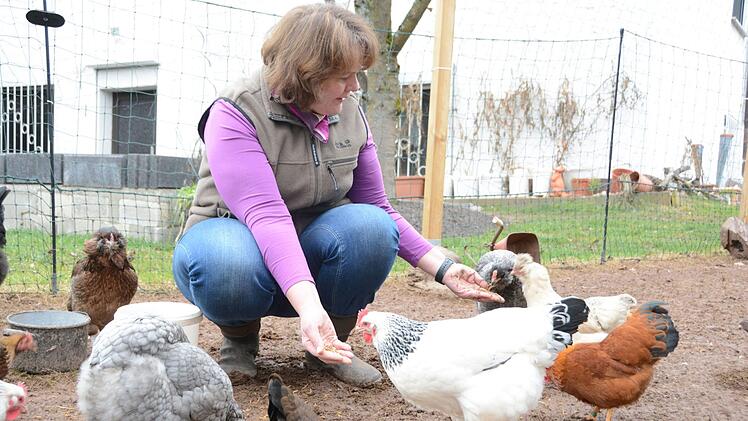 Hühner im GartenFoto: Dagmar Besand