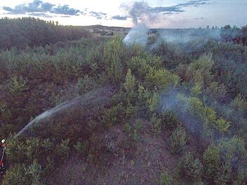 Waldbrandgefahr im Kreis Erlangen-Höchstadt: Maßnahmen und Regeln