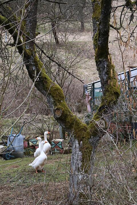 SoS Tiefenst?rmig; Gemeinde Eggolsheim; Foto: Barbara Herbst