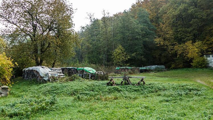 Am Strätzenkeller soll der Mühlbach eine Fläche zum Überlaufen erhalten und in einer Furt in den zukünftig in Schleifen gelegten Vorderlauf des Grabens übergehen.  Foto: Christian Ziegler