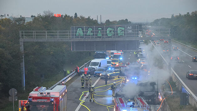 Insassen und Hund sterben bei schwerem Verkehrsunfall auf der A5