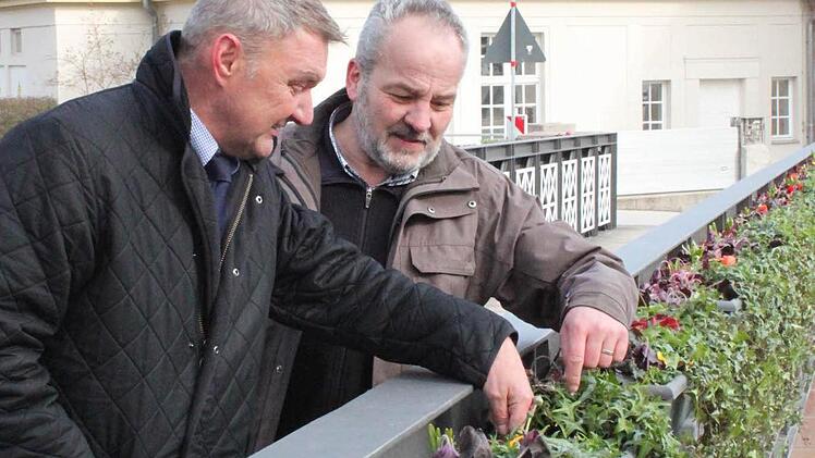 Bunte Blumenkästen am Arkadensteg.