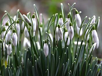 Wetter in Deutschland: Neuer Wärmeberg rollt an Wetter in Deutschland: Neuer Wärmeberg rollt an