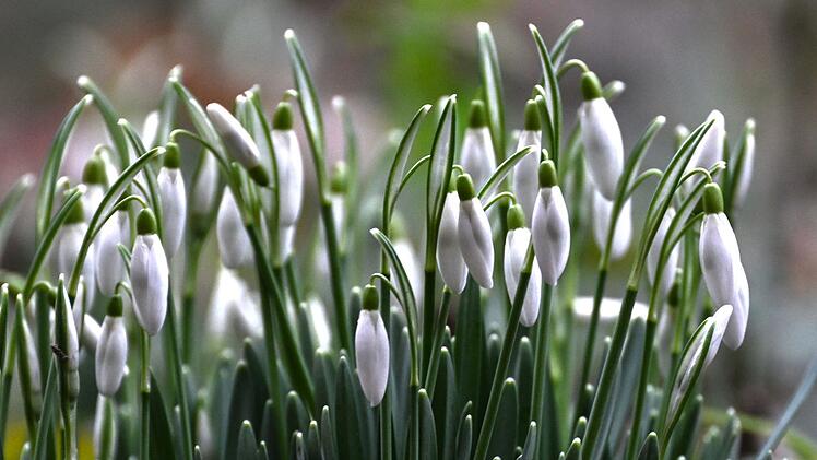 Wetter in Deutschland: Neuer Wärmeberg rollt an
