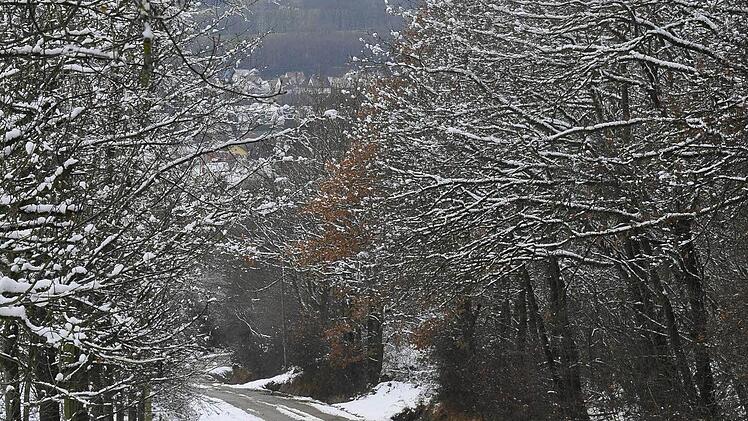 Weg vom Streitbaum hinunter nach Hetzles. Foto: Anne Schneider