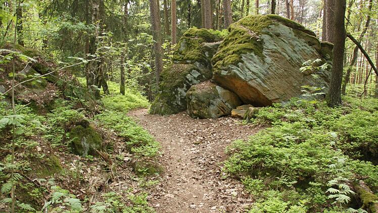Idyllische Wanderwege durchziehen den Ebnether Wald Foto: Matthias Einwag