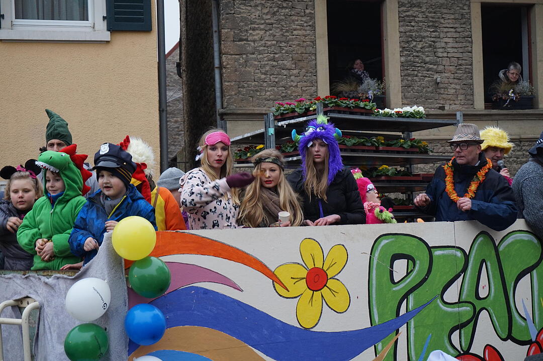 Landkreisfaschingszug 2015