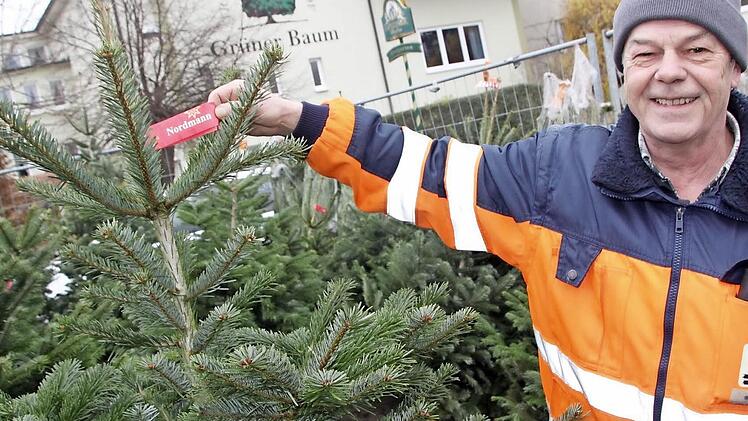 Günther Pangritz mit einer seiner Nordmanntannen - auch der Standort ist durchaus bezeichnend: direkt vor dem Gasthof "Grüner Baum".