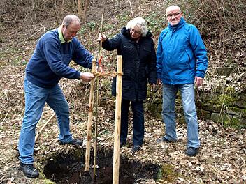 Nikolaus Zimmermann sowie die Bezirksvorstände Marion Both und Werner Brüggemann (von links) setzten. Foto: Ortloff