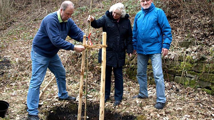 Nikolaus Zimmermann sowie die Bezirksvorstände Marion Both und Werner Brüggemann (von links) setzten. Foto: Ortloff