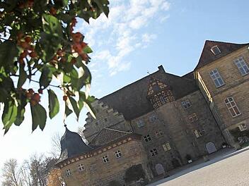 Zu besonderen Veranstaltungen werden die Tore zum Privatgelände von Schloss Eyrichshof bei Ebern geöffnet. Ende Juli finden im Park wieder Konzerte statt.  Fotos: Sarah Dann
