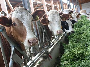 Die Tierhaltung ist längst nicht mehr alles, was ein moderner Landwirt beherrschen muss.  Foto: Robert Huger