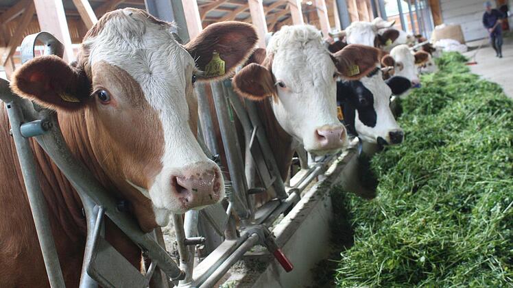Die Tierhaltung ist längst nicht mehr alles, was ein moderner Landwirt beherrschen muss.  Foto: Robert Huger