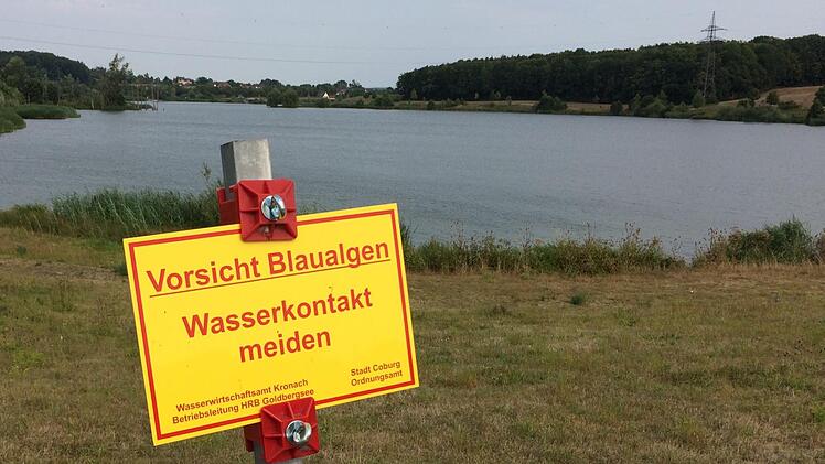 Ein Schild warnt am Goldbergsee vor dem Kontakt mit dem durch Blaualgen belasteten Wasser.Oliver Schmidt