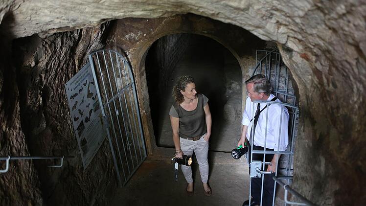 Oberhaids Archivpflegerin Barbara Spies im Gespräch mit dem Generalkonservator Foto: Barbara Herbst