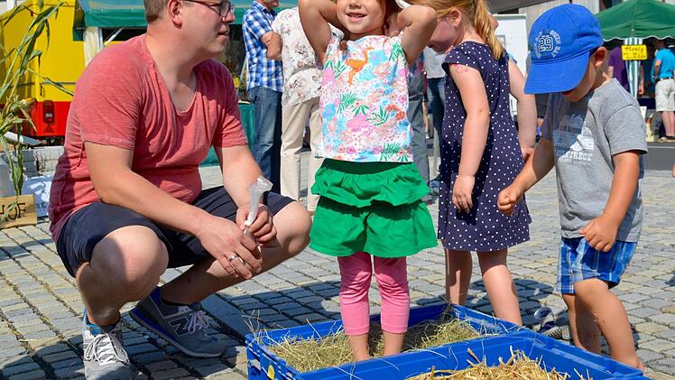 Getreide, Heu und Stroh erspüren, konnten die Kinder hier beim Barfuß-Parcours der Familie Wagenbrenner. Foto: Kupka-Hahn