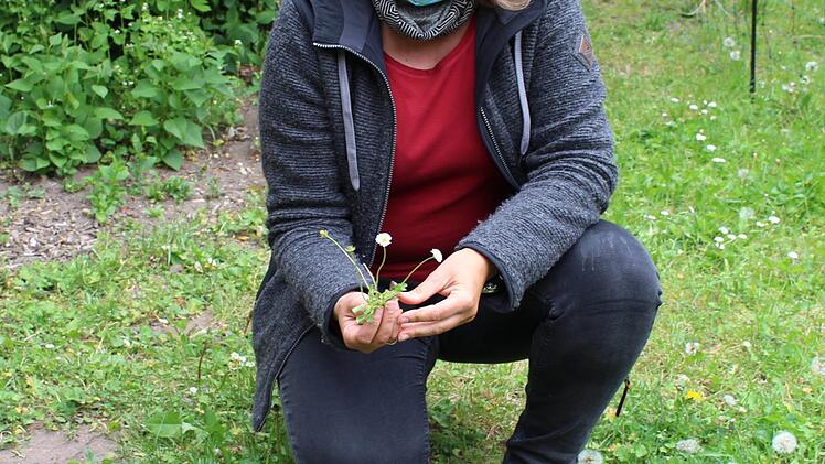 Auf der Wiese wächst so manches Kräutlein: Auch Gänseblümchen sind nicht zu unterschätzen, wie Heidi Rippel weiß. Fotos: Evi Seeger