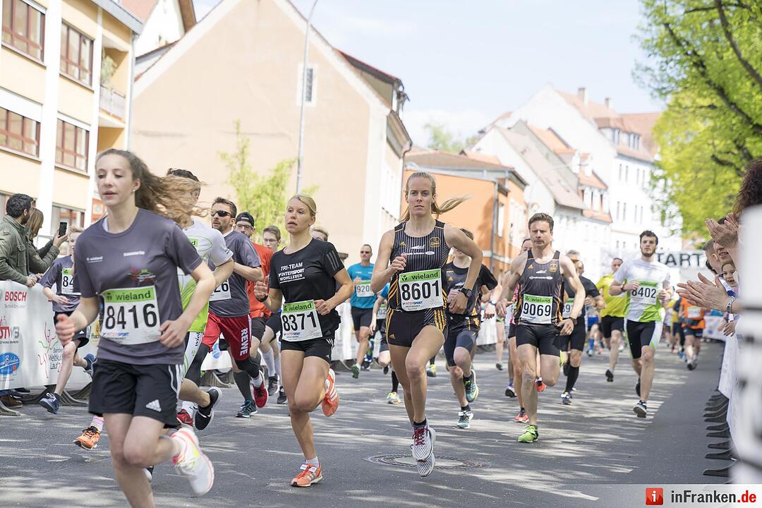 Weltkulturerbelauf 2017 in Bamberg: Der Wieland-Lauf